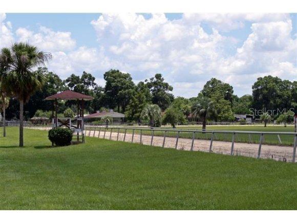 10980 NE 36th Ave., Anthony, FL 32617