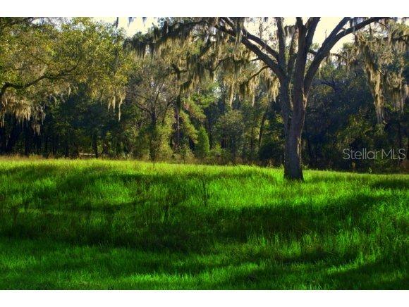 10550 NW 28 Pl., Ocala, FL 34482