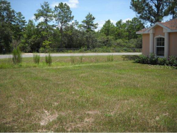 8 Fisher Trc, Ocklawaha, FL 32179