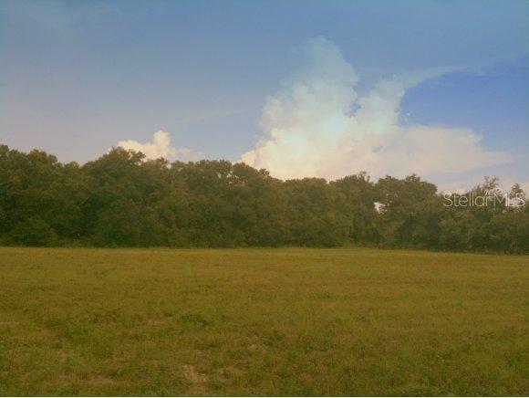 10112 SE 36 Ave., Belleview, FL 34420