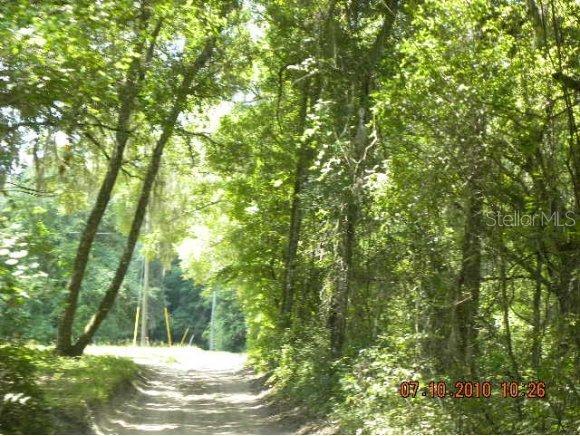 4598 SE 95 St., Belleview, FL 34420