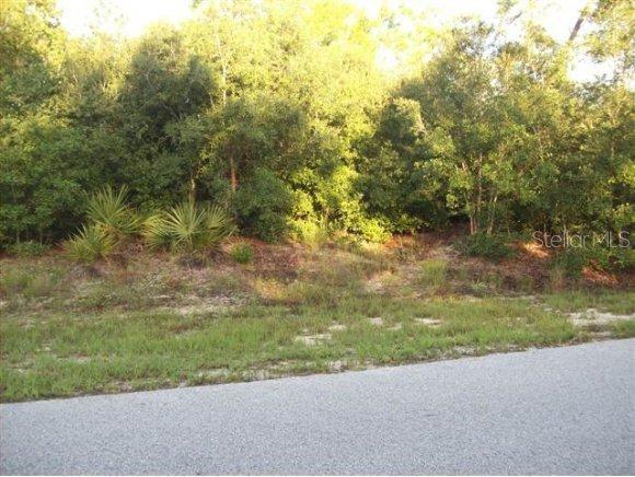 SW 41 Ter., Ocala, FL 34476