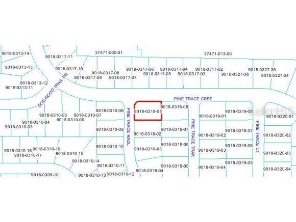 0000 Pine Trace Radial, Ocala, FL 34470