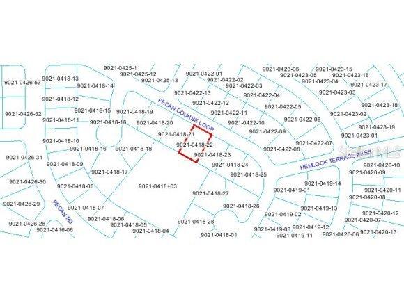 52 Pecan Course Loop, Ocala, FL 34472