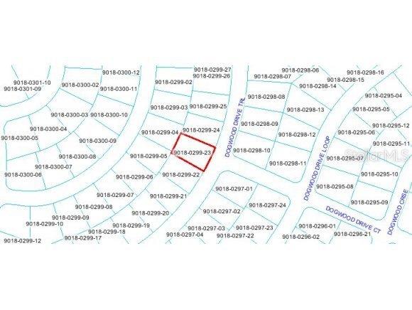 0000 Dogwood Drive Tr., Ocala, FL 34470