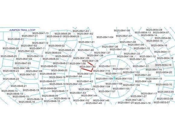 43 Juniper Trail Cir., Ocala, FL 34480