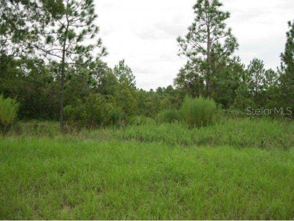 SW 85 Cir., Ocala, FL 34473