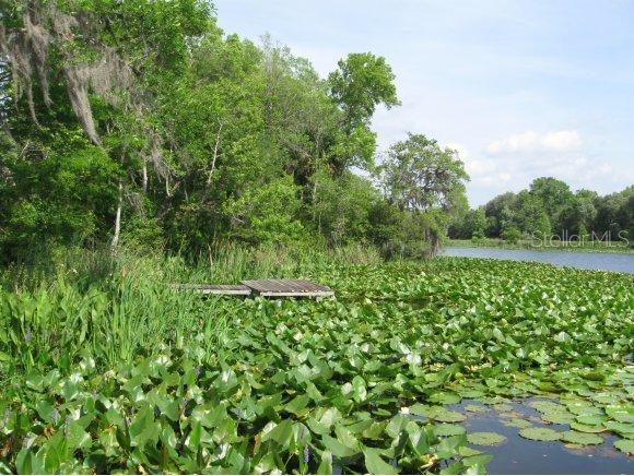 363 Sequoia Dr., Ocklawaha, FL 32179