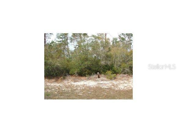 SW 158 Loop, Ocala, FL 34473