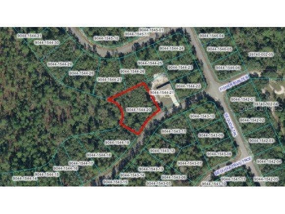 SE Fisher Run Ter., Ocklawaha, FL 32179