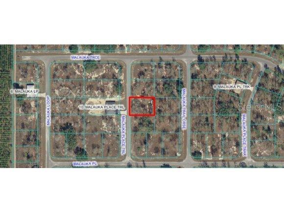 Malauka Pl Tr., Ocklawaha, FL