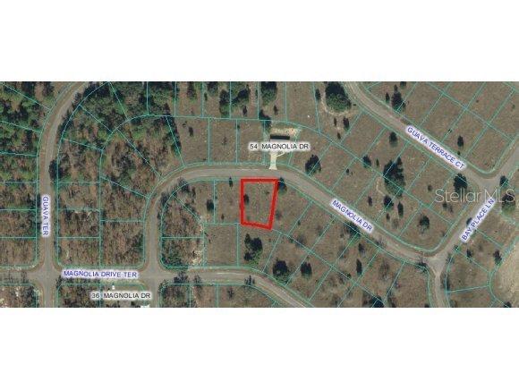 Magnolia Dr., Ocklawaha, FL 32183