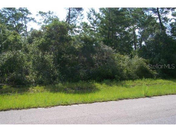 SW 18 Ave Rd., Ocala, FL 34473