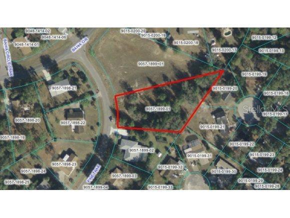 Pine Trk Loop, Ocala, FL 34472