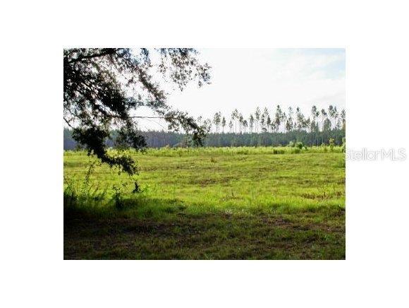 TRACT 1 NE Tract 1 75 St., Williston, FL 32696