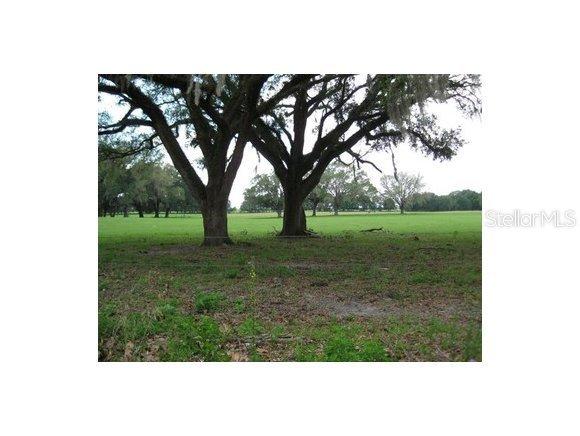 LOT 2 NE Lot 2 167 Ct., Williston, FL 32696