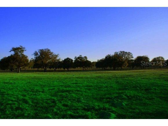 NW 154 Avenue Rd., Morriston, FL 32668