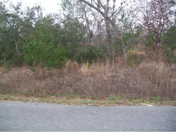 5400 SW 115 Loop, Ocala, FL 34476