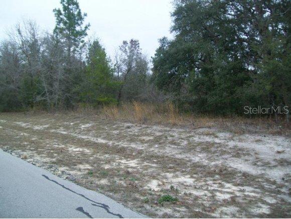 SW 146th Lane Rd, Ocala, FL 34473