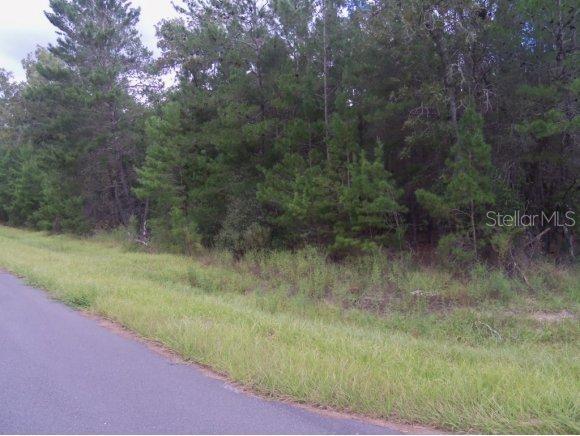 SW 113 Pl., Ocala, FL 34476