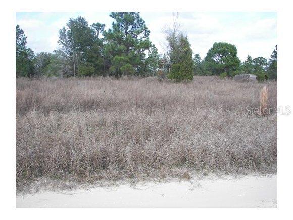 SW 30th Pl., Ocala, FL 34481