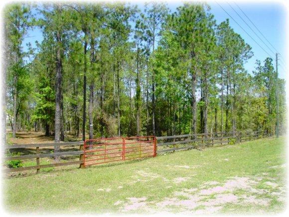 SE Highway 464c, Ocklawaha, FL 32179