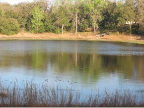 Oak Rd., Ocala, FL 34472