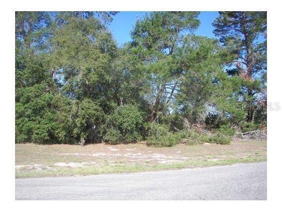 SW 45 Cir., Ocala, FL 34473