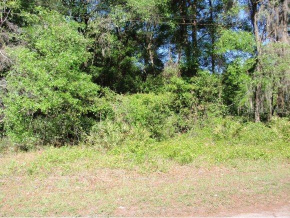 SE 25 Ter., Summerfield, FL 34491
