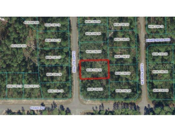 SW Fisher Trk Way, Ocklawaha, FL 32179