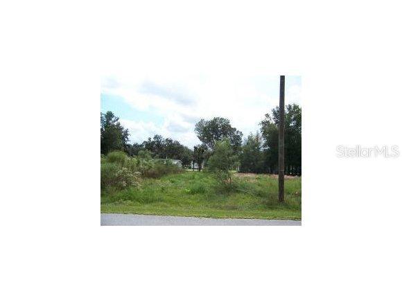 SE 171 Ln., Summerfield, FL 34491
