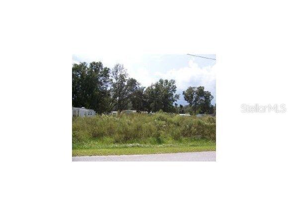 SE 171 Ln., Summerfield, FL 34491