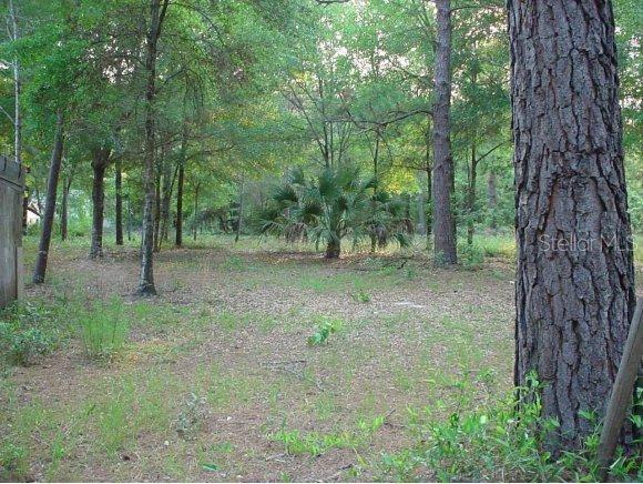 NE 150 Null Ave., Fort Mccoy, FL 32134