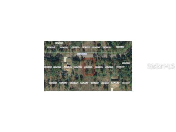 Guava Pass Dr., Ocala, FL 34472