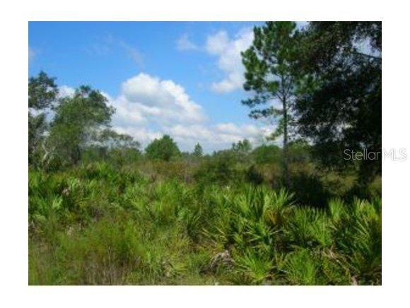 Highway Cr 345 Lot 6 Null, Cedar Key, FL 32635