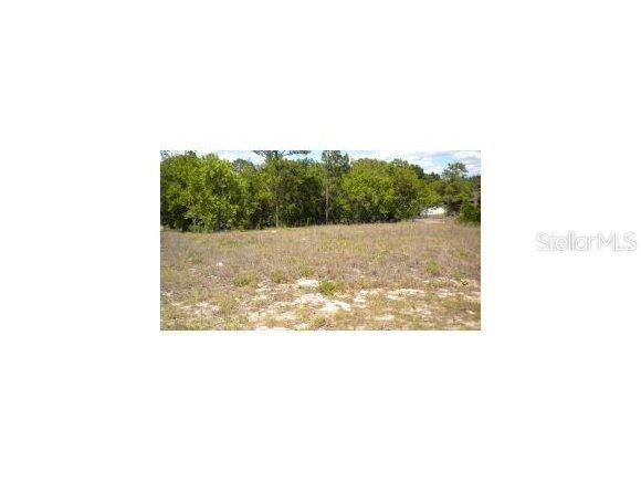 SE Oak Lane Cir., Ocala, FL 34472