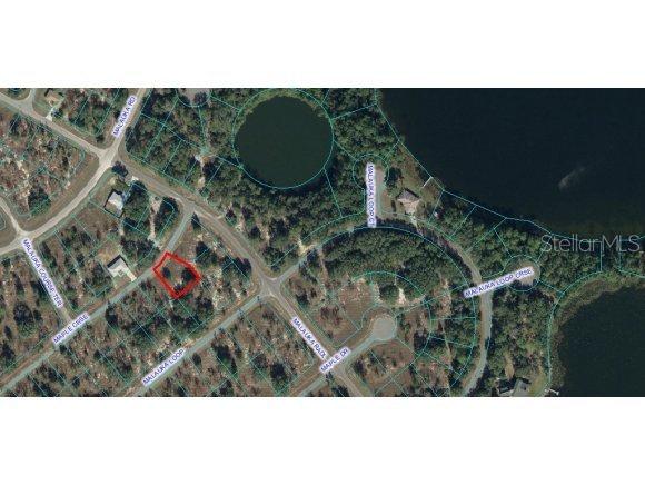 SE Maple Crse, Ocklawaha, FL 32179