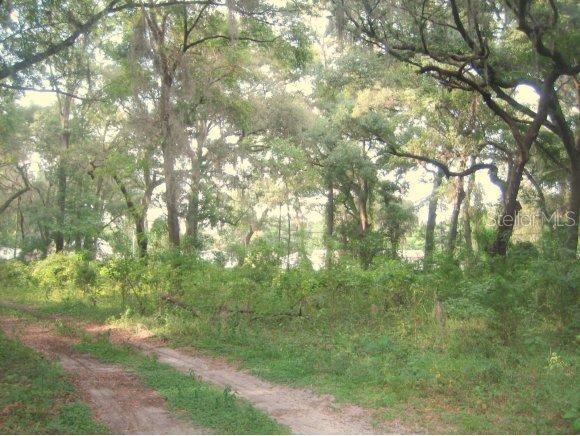 3550 SE 95 St., Belleview, FL 34420