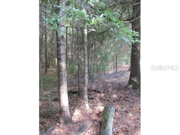 NE 35 St., Williston, FL 32696