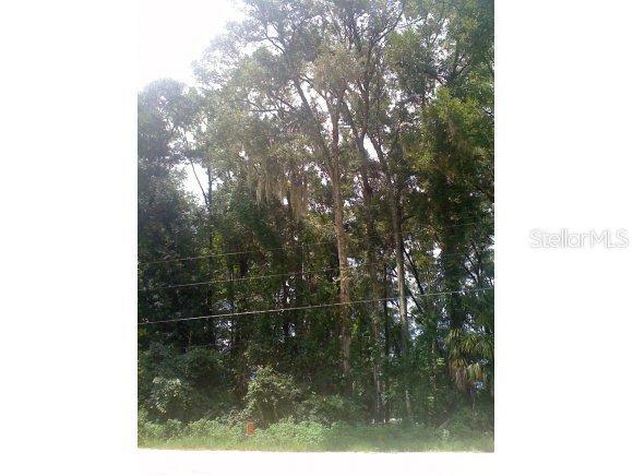 LOT 2 SE Lot 2 137 Ln., Summerfield, FL 34491
