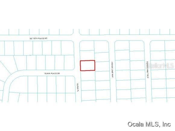 Guava Pl., Ocklawaha, FL 32179