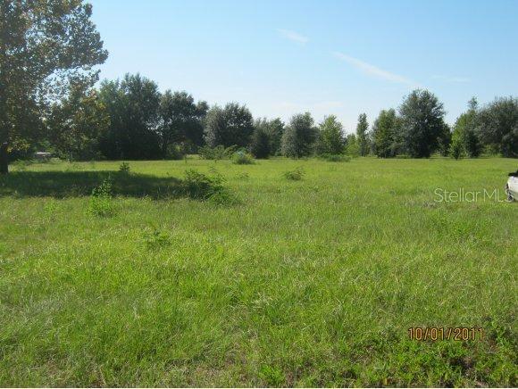 250 SE 160 St., Summerfield, FL 34491