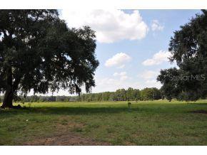 17120 NW 120 Ave Rd., Reddick, FL 32686