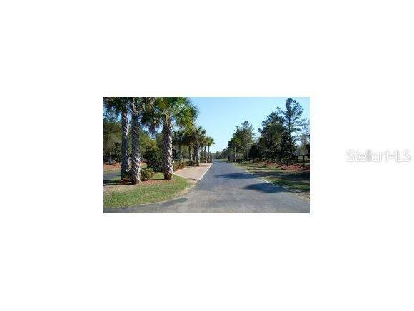 NW 142 St., Williston, FL 32696