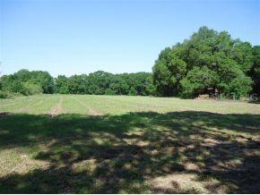 NW 49 Ave., Ocala, FL 34482