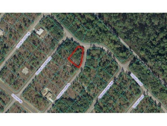 Locust Loop Pl., Ocala, FL 34472