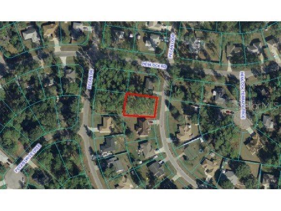 Pecan Loop, Ocala, FL 34472