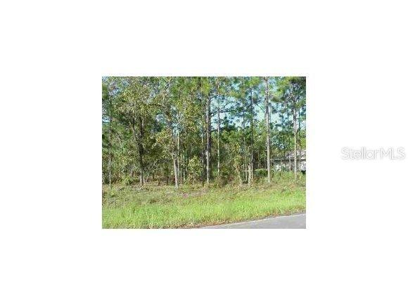 00 Hemlock Loop, Ocala, FL 34472