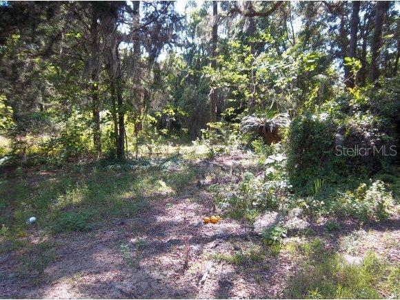 SE Fort King, Ocala, FL 34470