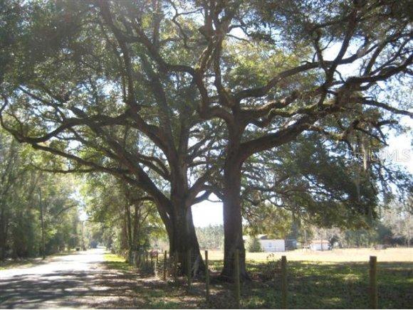 NE 23 Ct., Anthony, FL 32617